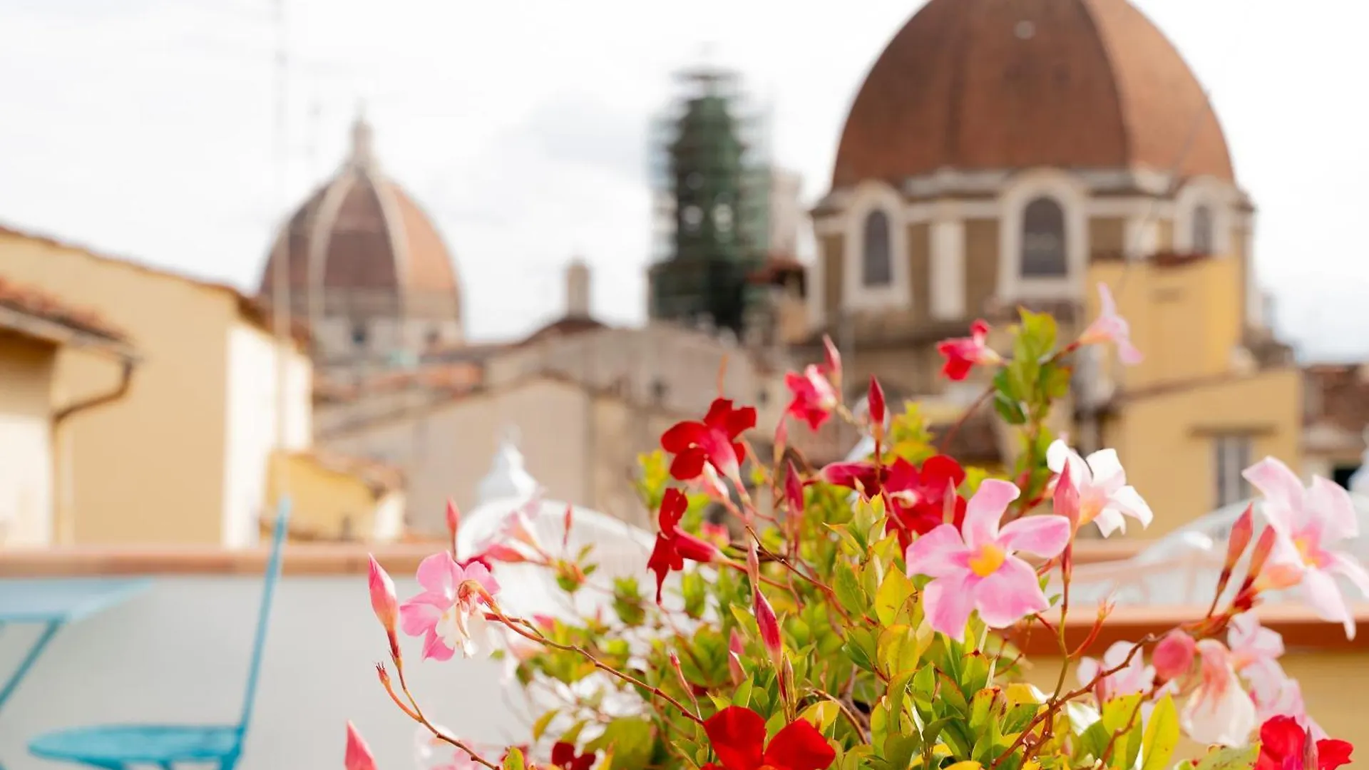 Central View Boutique - Milu Holidays Firenze Florence