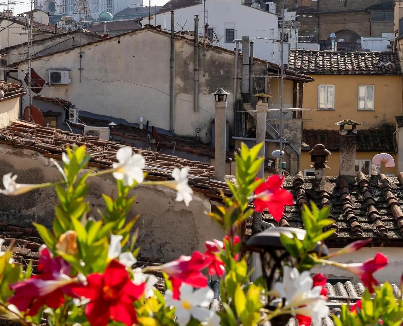 Central View Boutique - Milu Holidays Firenze Guest house